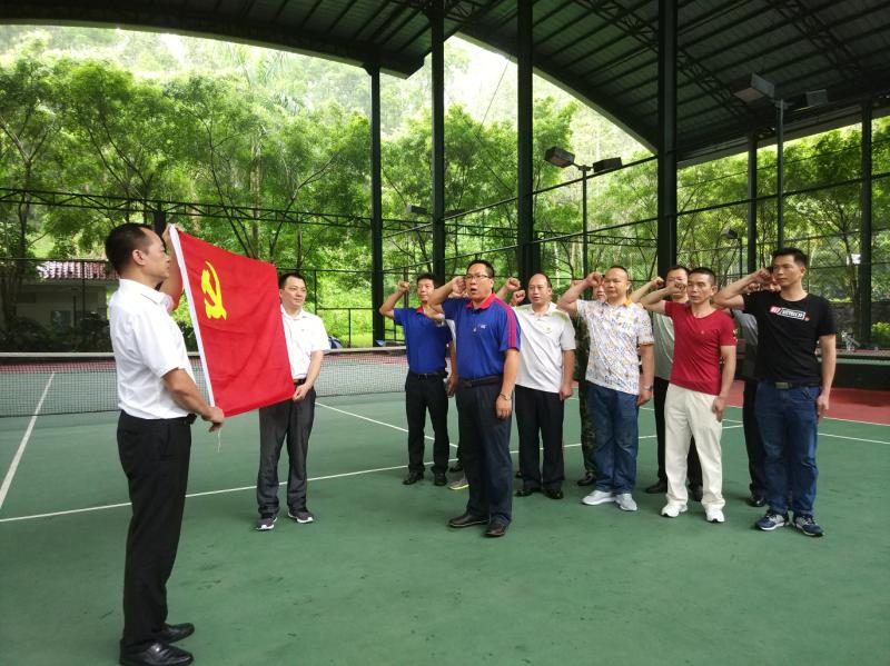 2018年6月23日，三正房地產(chǎn)黨支部舉行“黨旗在我心中”主題黨日活動(dòng).jpg